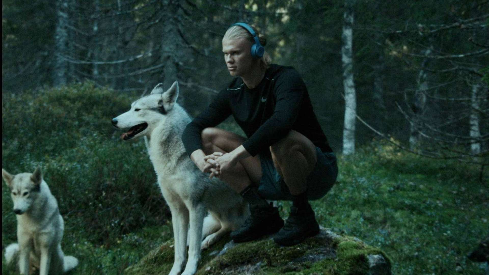 仿佛是一幅 仿佛是一幅